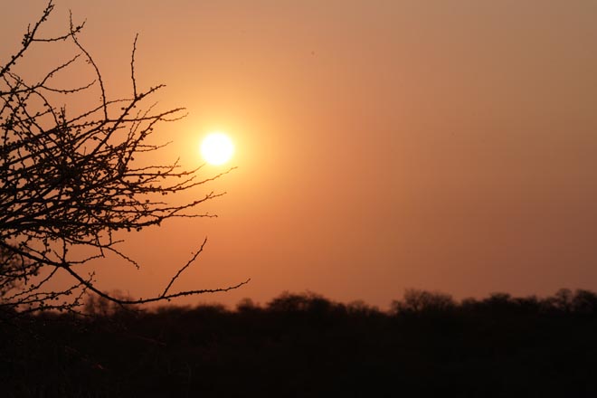 Waterberg Accommodation