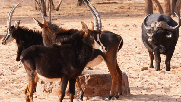 Waterberg Plateau Namibia