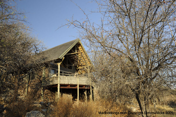 Ongava Lodge Accommodation